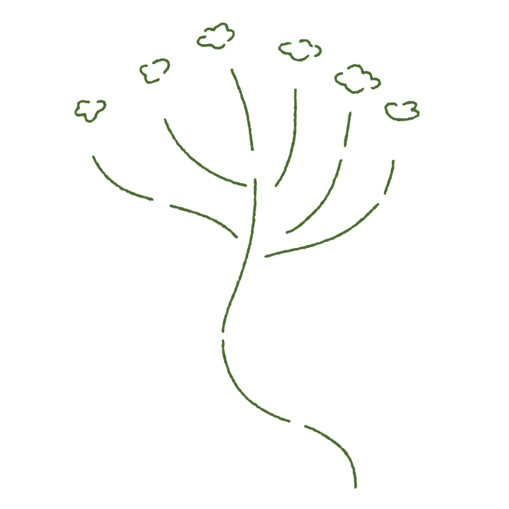 Simple illustration of a plant with multiple small flower heads, reminiscent of a sensory toy.