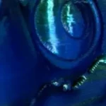 Abstract blue and green swirling pattern
