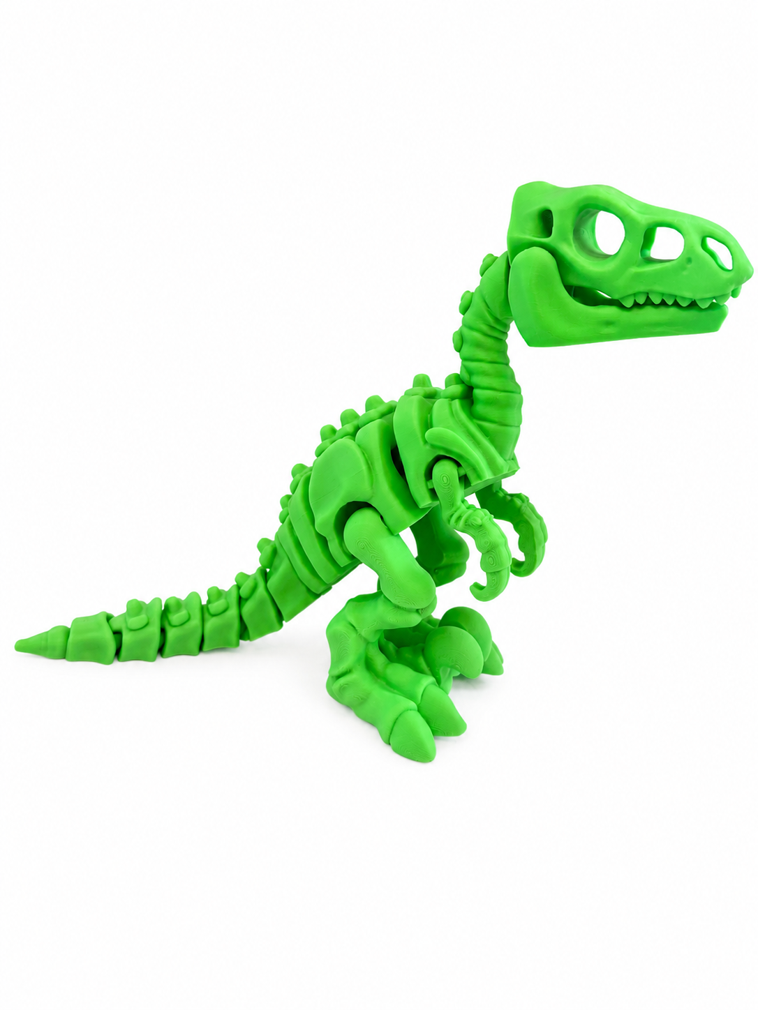 Green articulated raptor skeleton toy, a fun and educational dinosaur model.