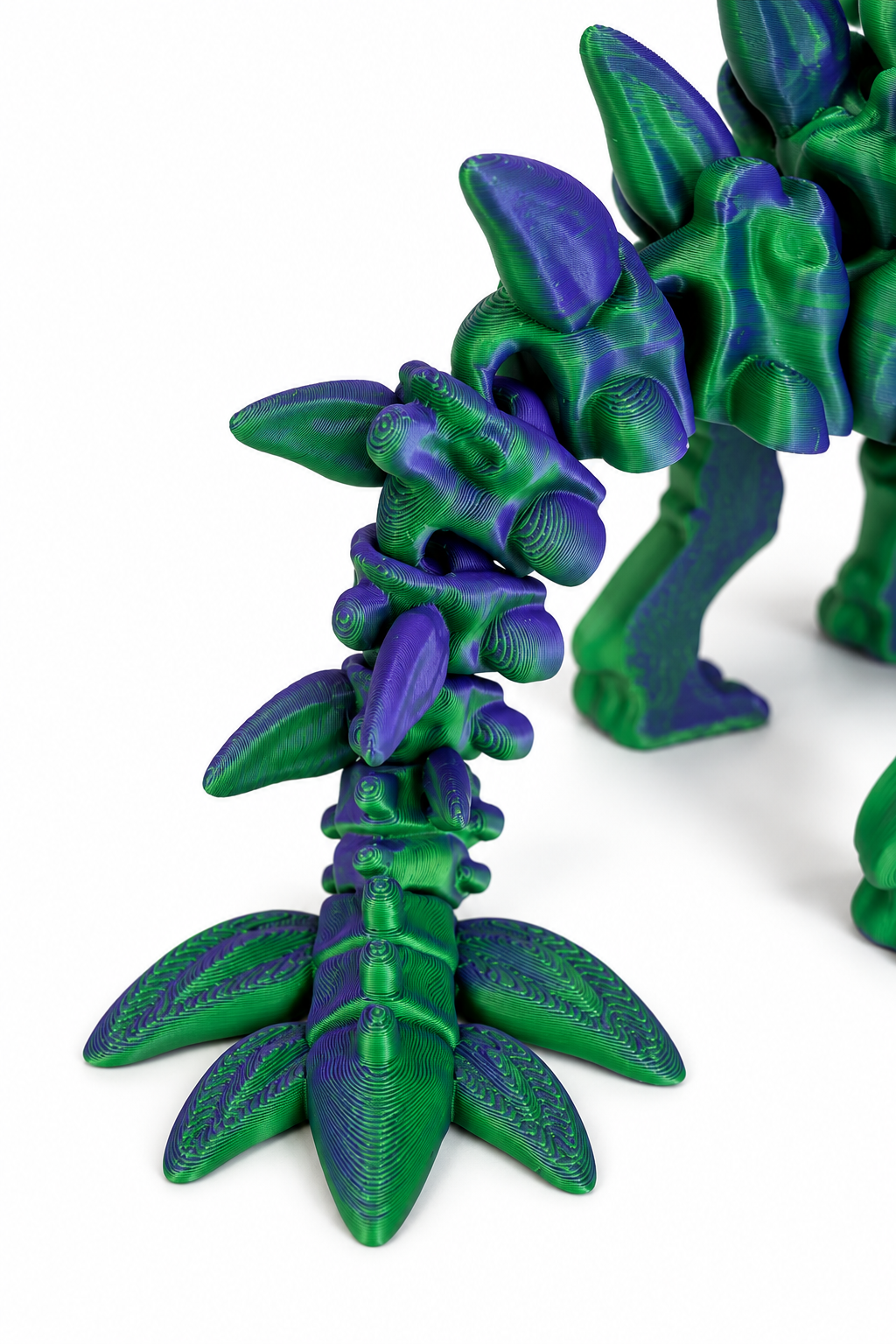 Marbled Dragon Limb Close-Up