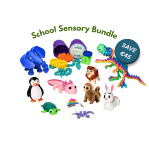 School sensory bundle - an assortment of fidget toys perfect for sensory regulation in the classroom.